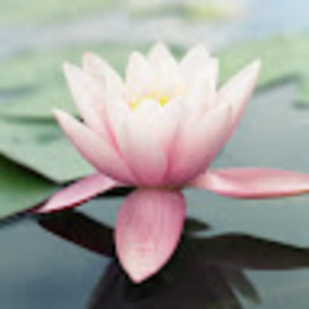 Meet your Posher, Beatriz